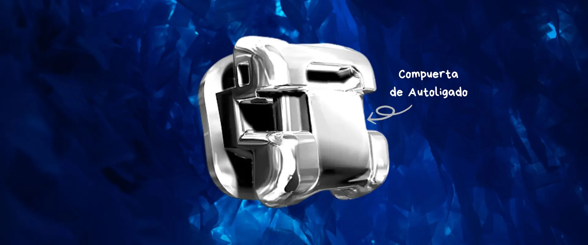 Brackets de autoligado — detalle del clip